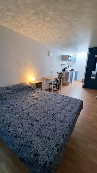Studio En Rez De Jardin Avec Terrasse Privee - Le Petit Chateau Avesnois - Tv - Wifi - Logement Complet Avesnes-sur-Helpe Kültér fotó
